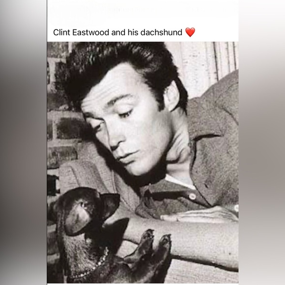 Old Navy Distressed Boyfriend Jean Shorts, Black, Mid Rise, Cuffed, Size 4 - Picture 12 of 12